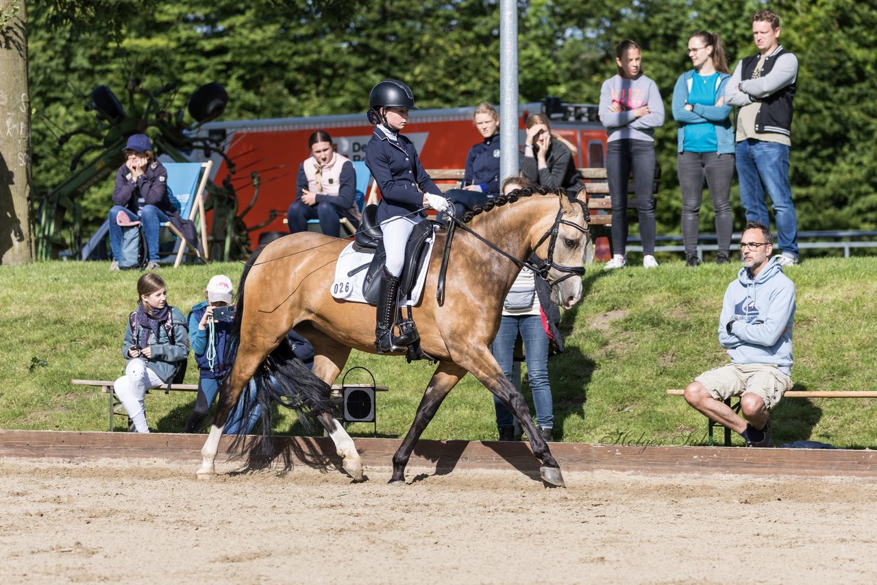 Bild 553 - Pony Akademie Turnier